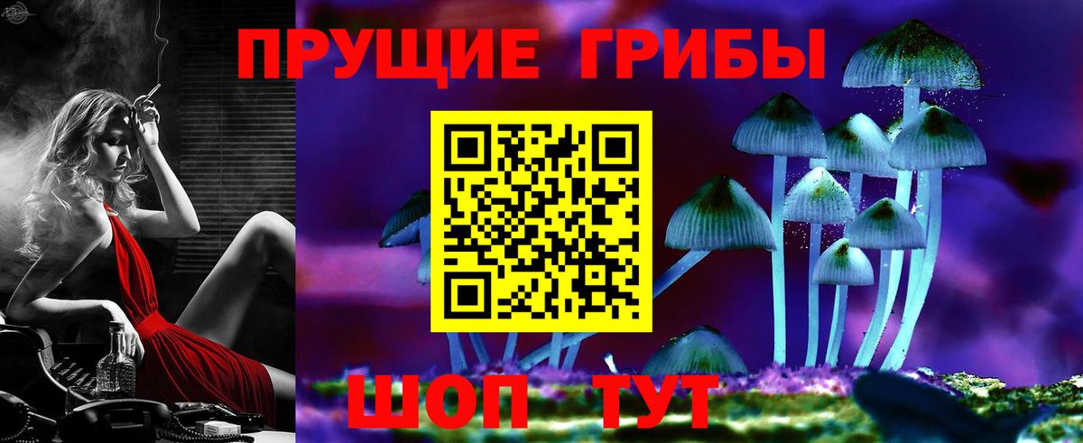 Черногорск  Галлюциногенные грибы ЛСД  Вход с VPN 
