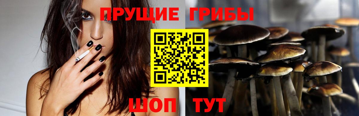Галлюциногенные грибы GOLDEN TEACHER Черногорск